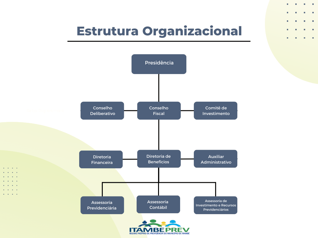 estrutura organizacional